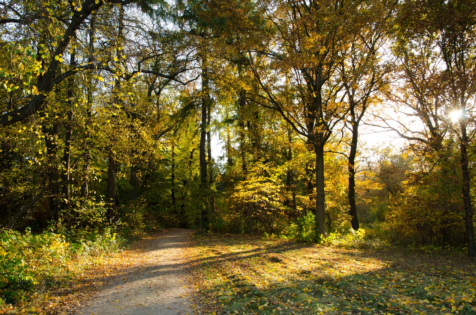 Herbst auf der Pfaueninsel