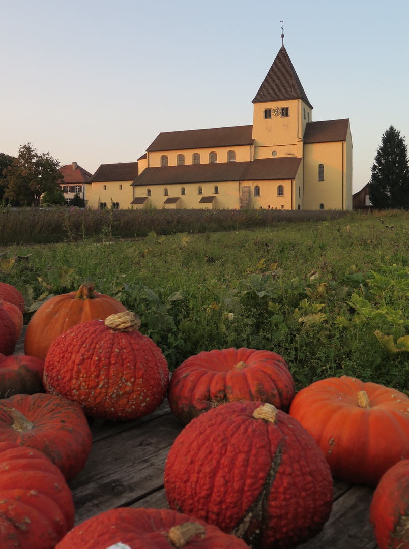 Herbst auf der Reichenau