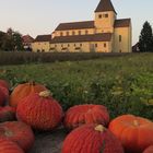 Herbst auf der Reichenau