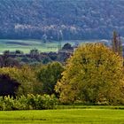 Herbst auf der schwäbischen Alb