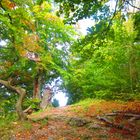 Herbst auf der Schwäbischen Alb