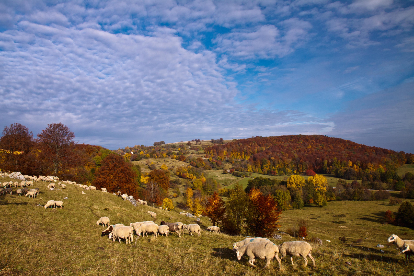 Herbst auf der Schwäbischen Alb