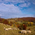 Herbst auf der Schwäbischen Alb