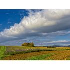 Herbst auf der Schwäbischen Alb