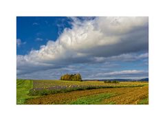 Herbst auf der Schwäbischen Alb