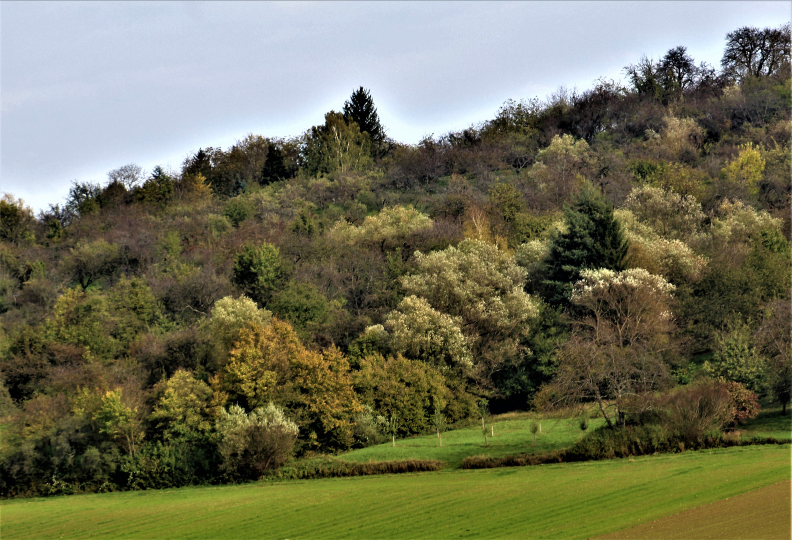 Herbst auf der schwäbischen Alb