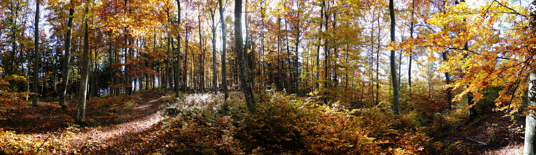 Herbst auf der schwäbischen Alb II