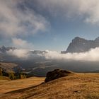 Herbst auf der Seiser Alm #1