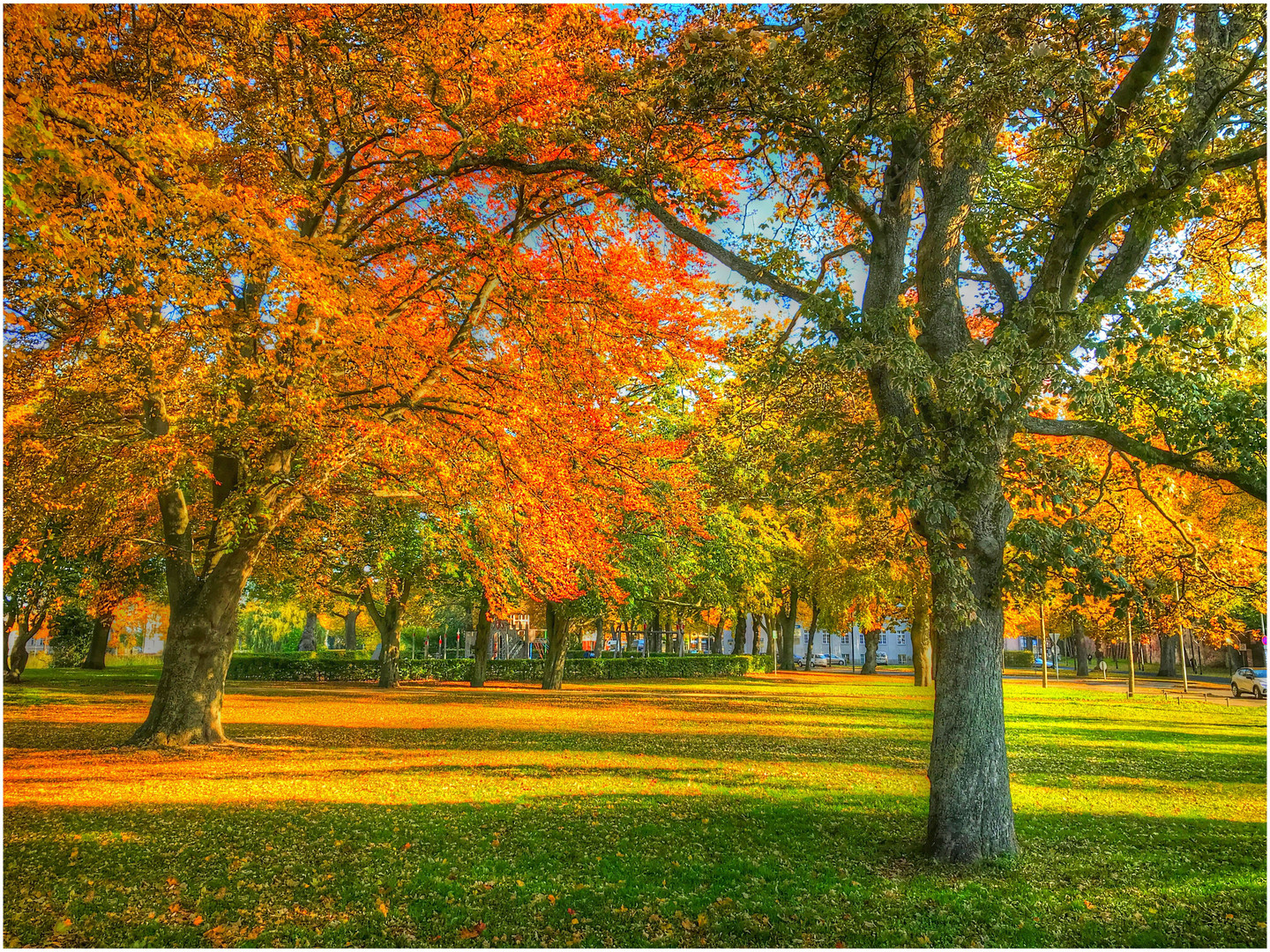 Herbst auf der Stralsunder Hospitaler Bastion...