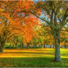 Herbst auf der Stralsunder Hospitaler Bastion...