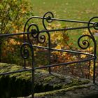 Herbst auf der Veste - Coburg