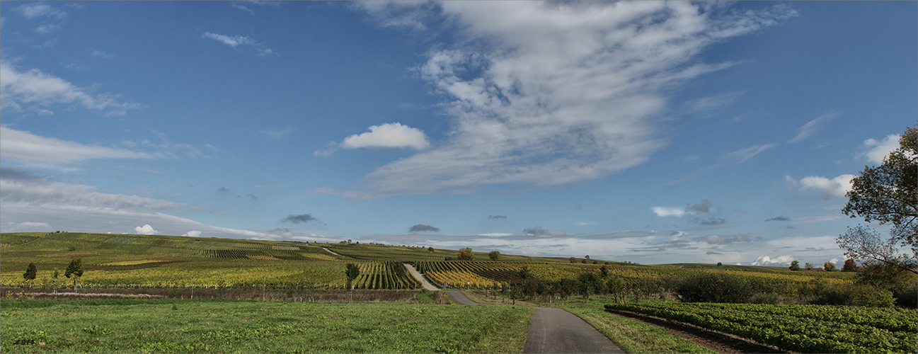 Herbst auf der Weininsel