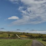 Herbst auf der Weininsel