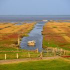 Herbst auf einer Hallig