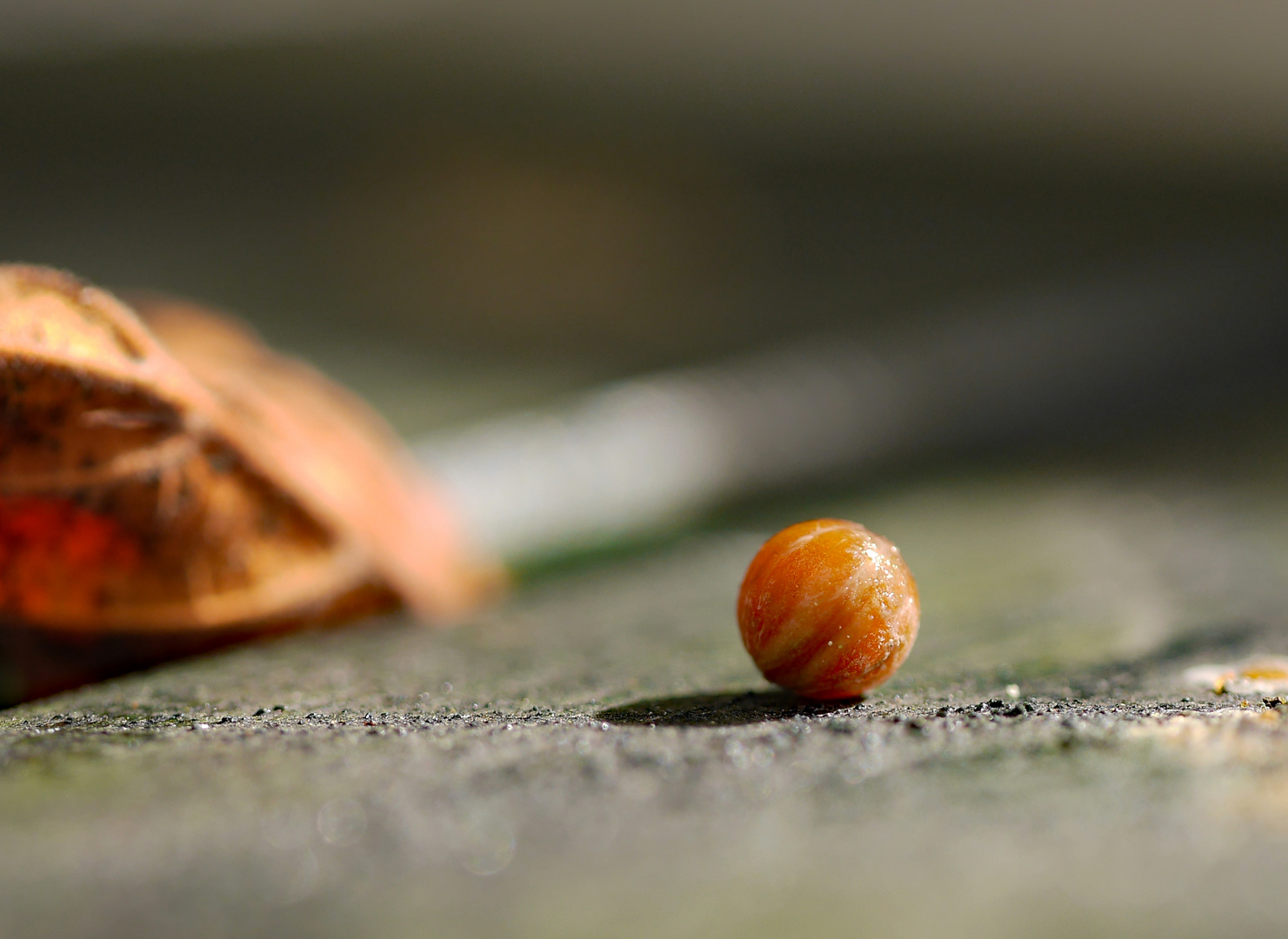 Herbst auf einer Parkbank