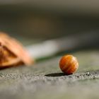 Herbst auf einer Parkbank