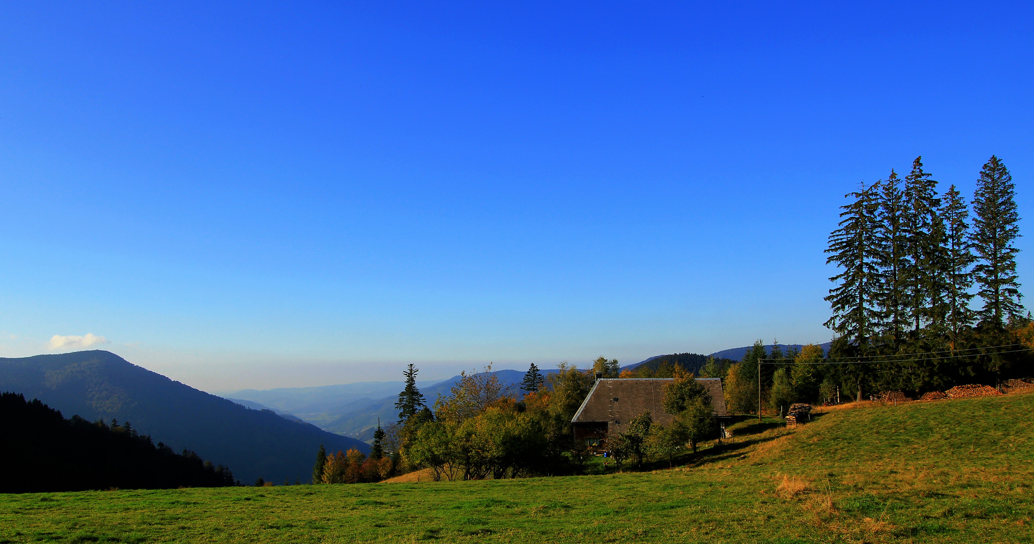 Herbst auf einer Schwarzwaldanhöhe