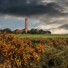 * Herbst auf Fehmarn *