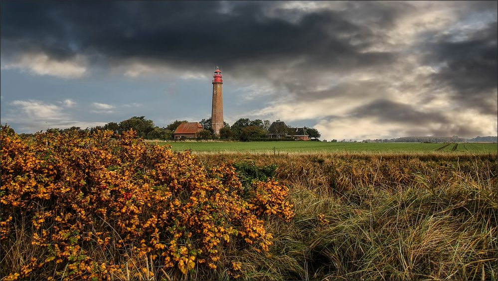 * Herbst auf Fehmarn *