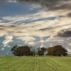 * Herbst auf Fehmarn *