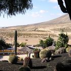 Herbst auf Fuerteventura