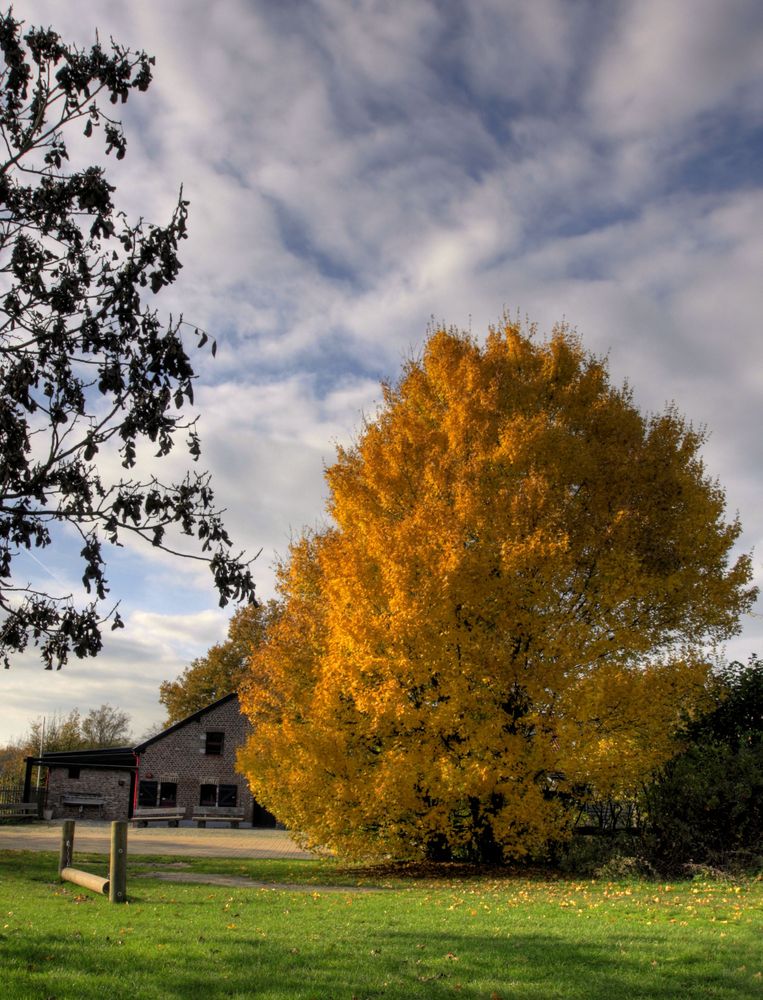 Herbst auf Gut Strief