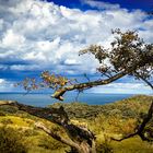 Herbst auf Hiddensee