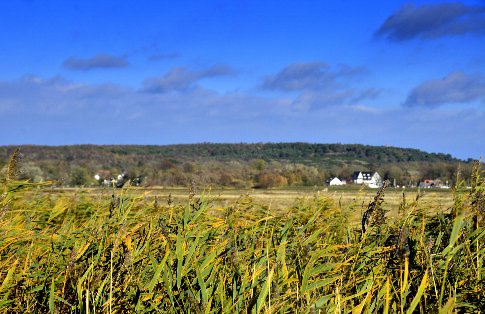 Herbst auf Hiddensee