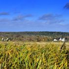 Herbst auf Hiddensee