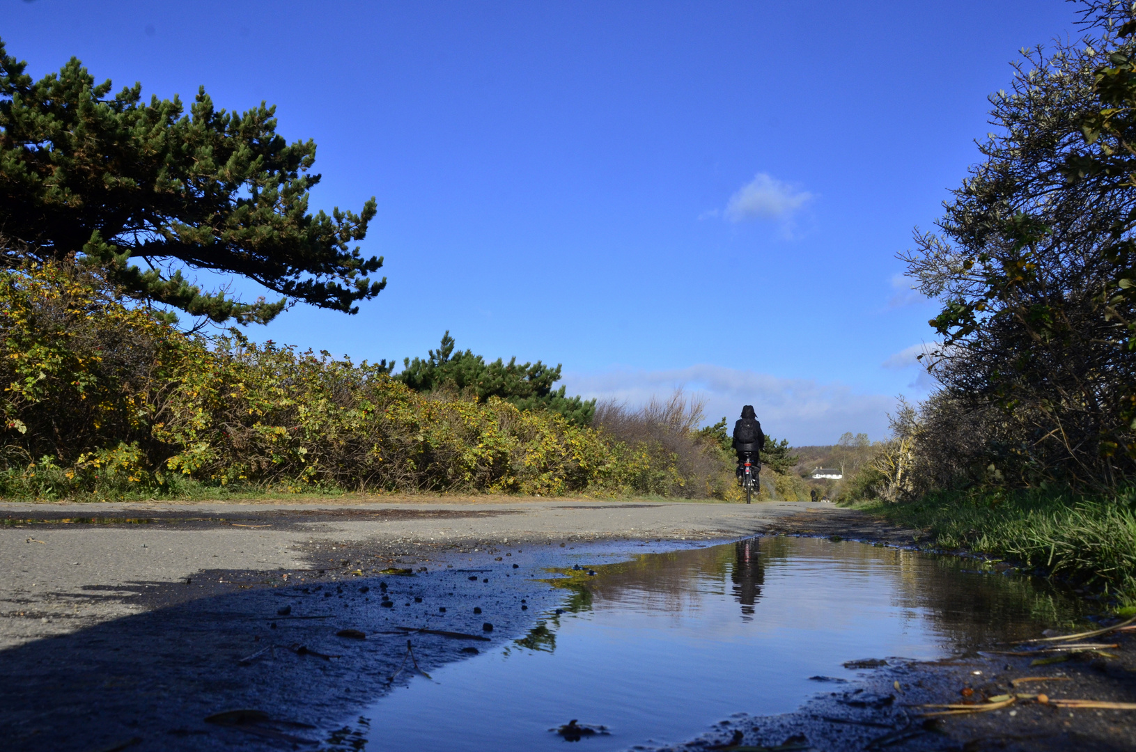 Herbst auf Hiddensee