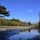 Herbst auf Hiddensee