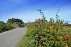 Herbst auf Hiddensee