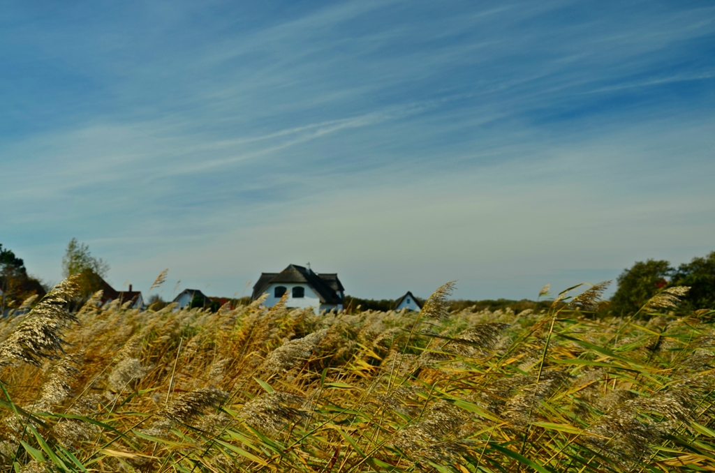 Herbst auf Hiddensee