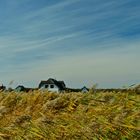 Herbst auf Hiddensee