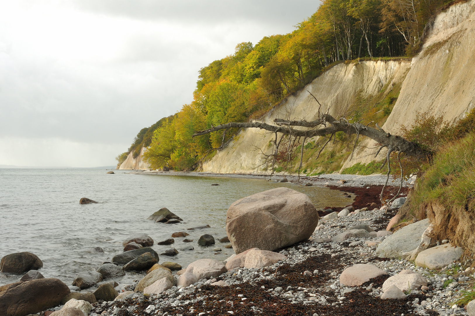 Herbst auf Jasmund