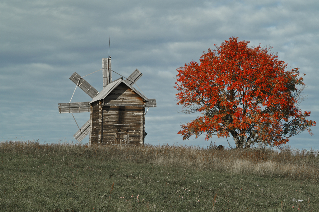 Herbst auf Kishi / Onegasee