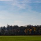 Herbst auf Knechtsteden