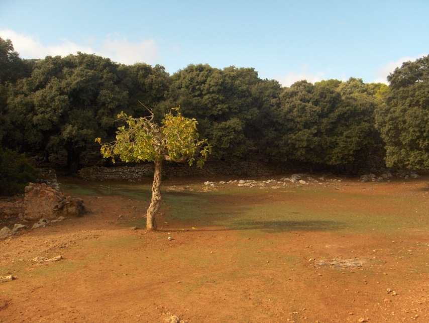 Herbst auf Mallorca