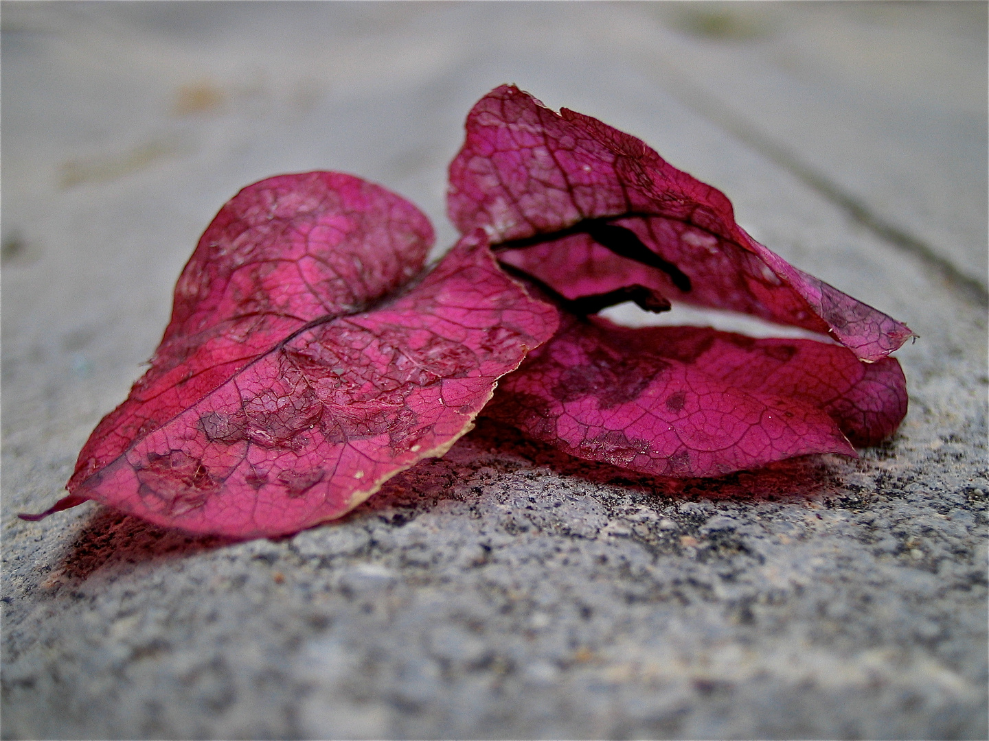 Herbst auf Mallorca