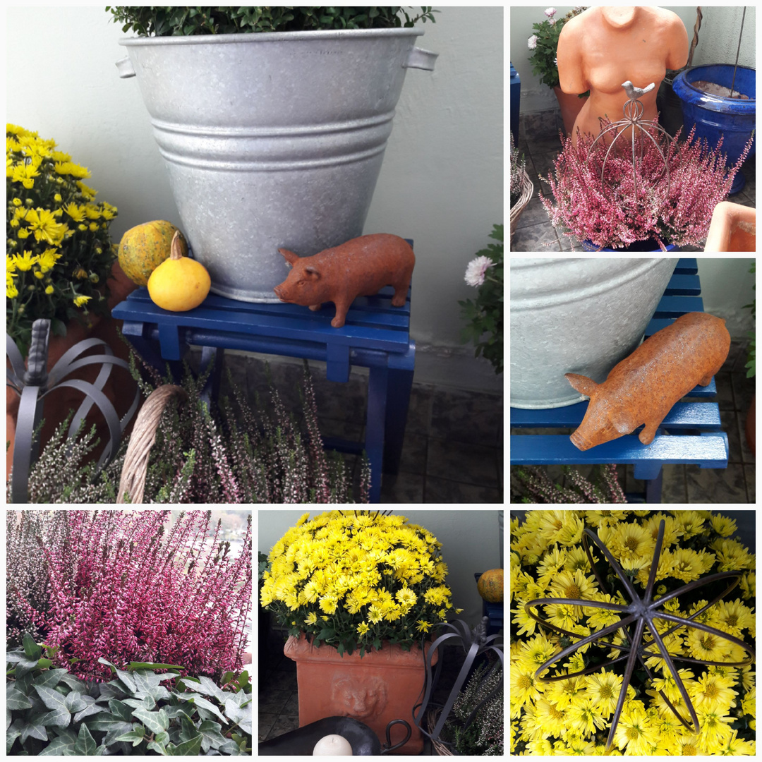 Herbst auf meinem Balkon