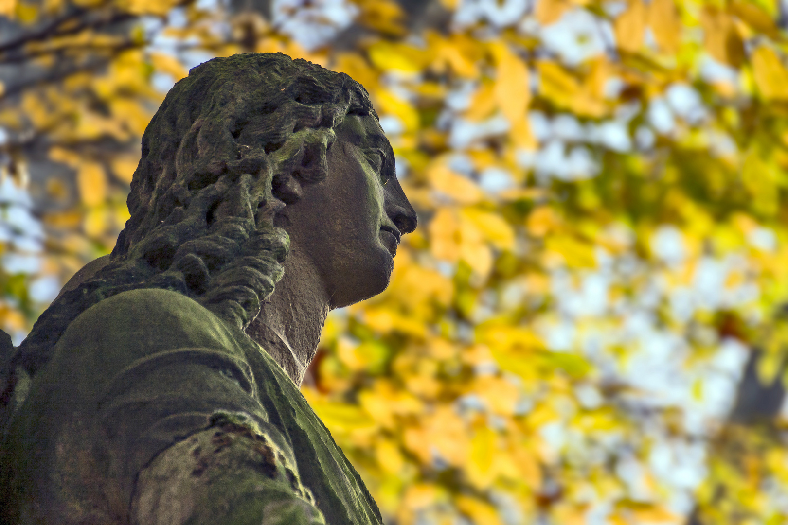 Herbst auf Melaten...