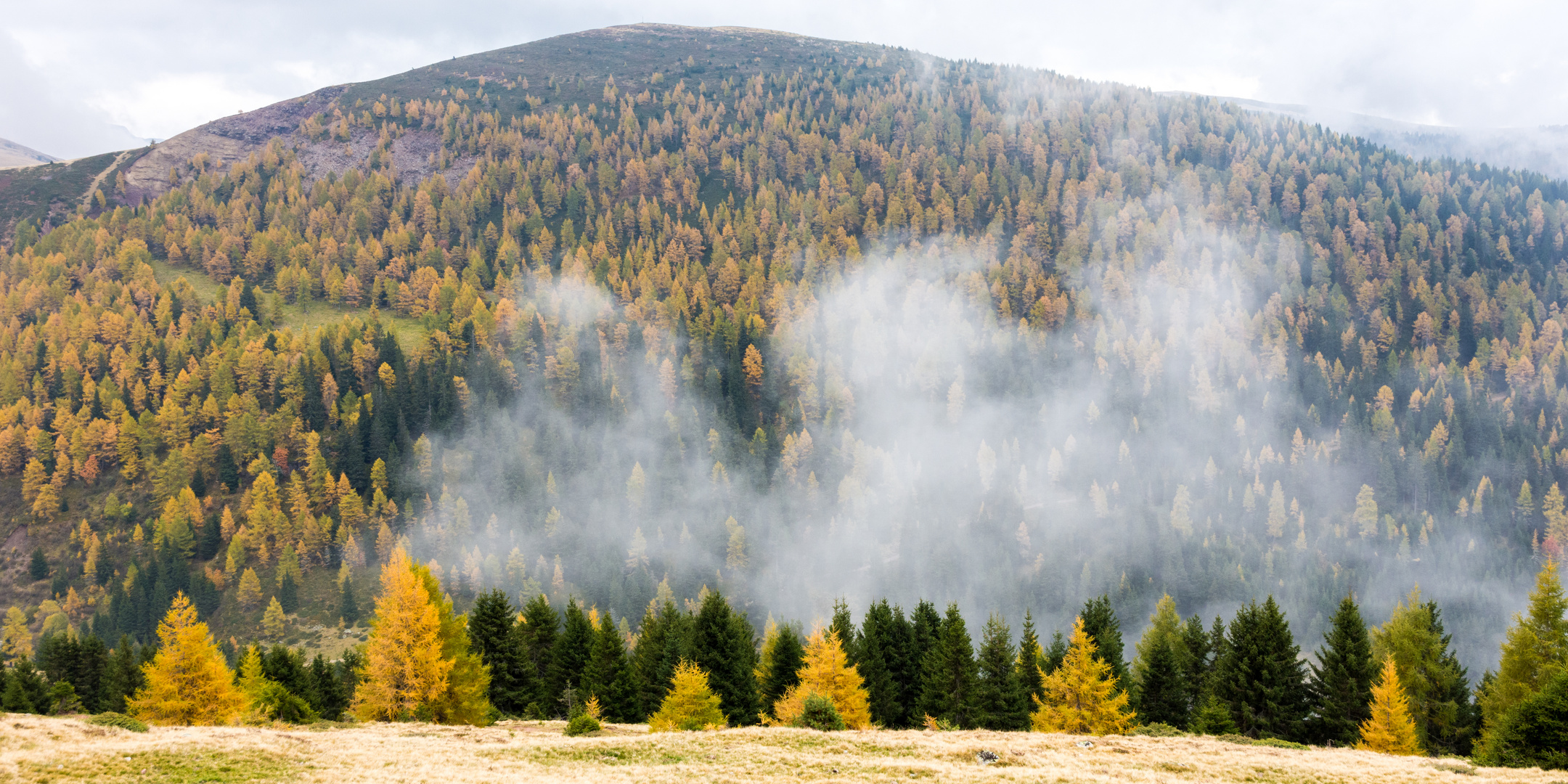 Herbst auf Meran 2000