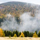 Herbst auf Meran 2000