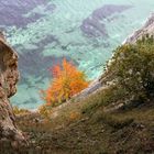 Herbst auf Möns Klint 