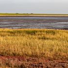 Herbst auf Norderney