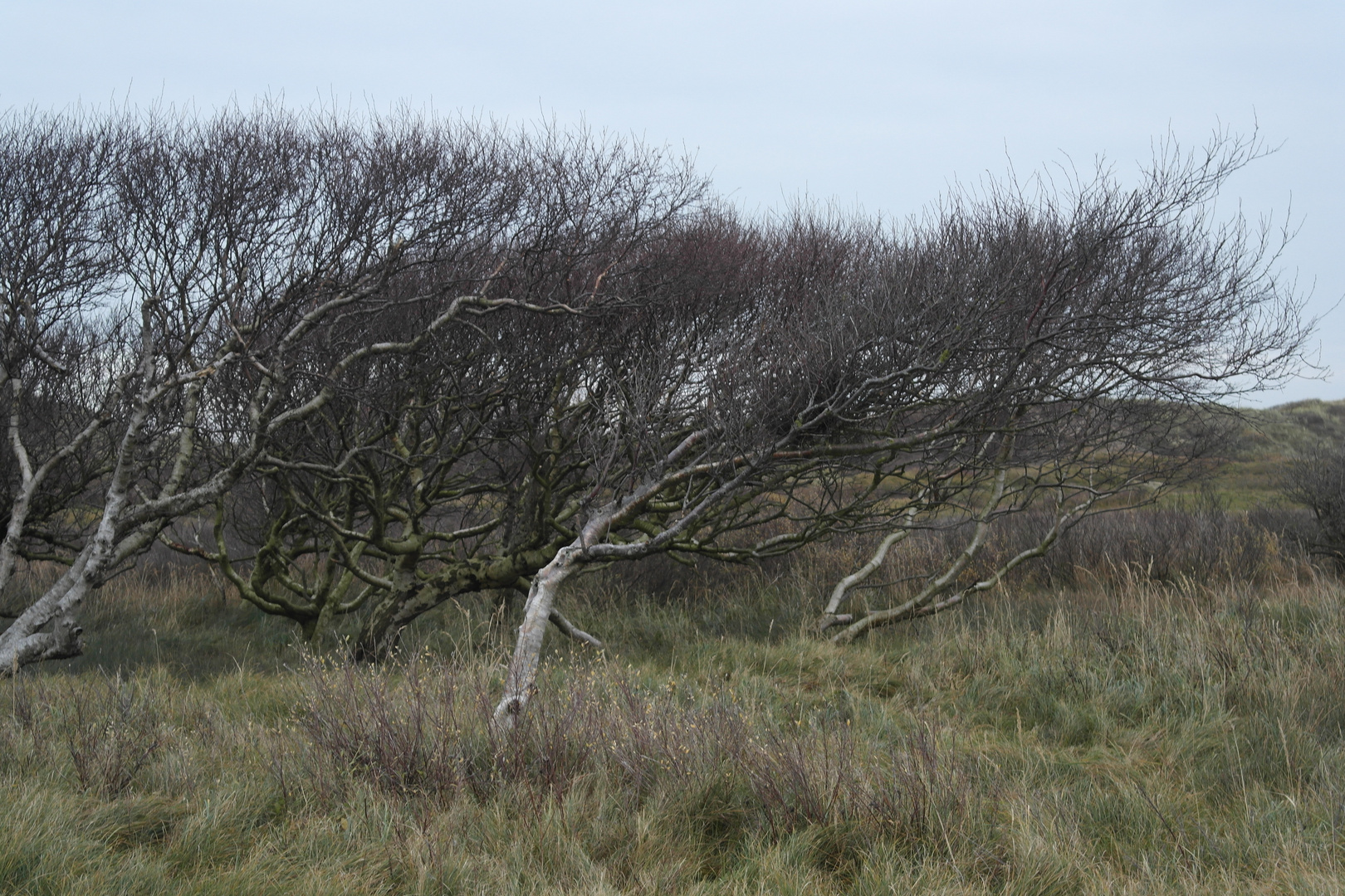 Herbst auf Norderney