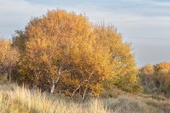 Herbst auf Norderney