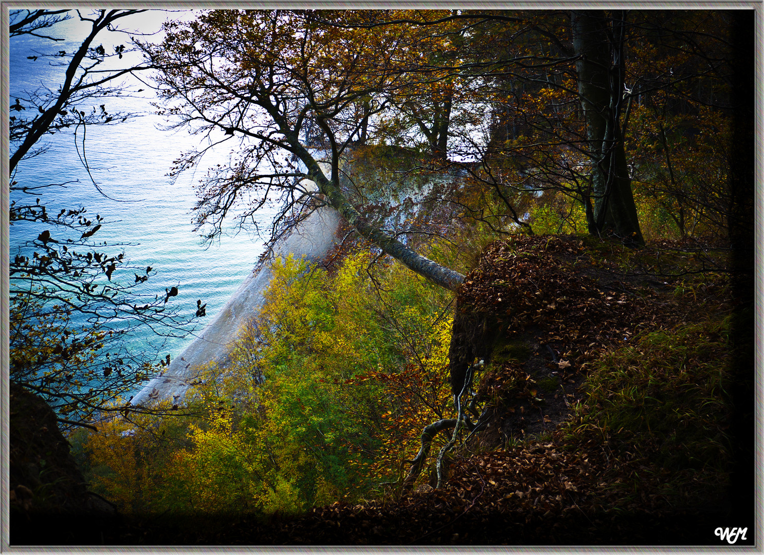 Herbst auf Rügen