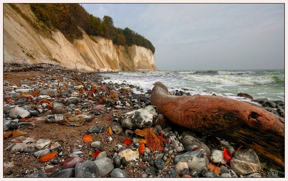 * Herbst auf Rügen *