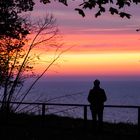 Herbst auf Rügen 1